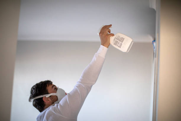Best Mold Testing  in Chatham, VA