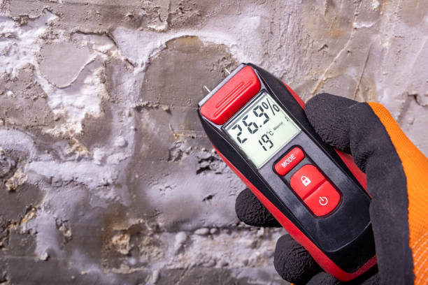 Certified Mold Removal in Chatham, VA