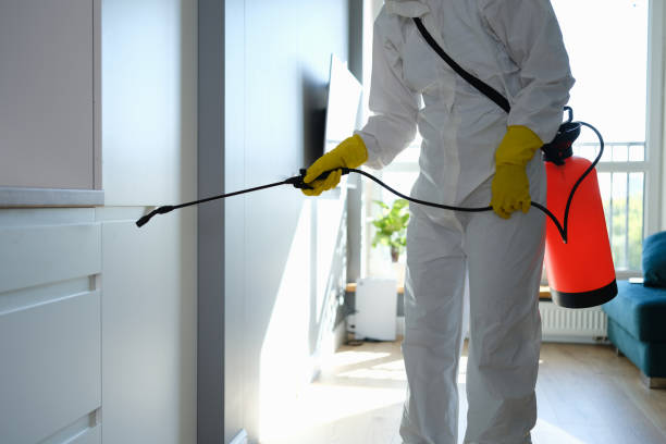 Best Certified Mold Removal  in Chatham, VA