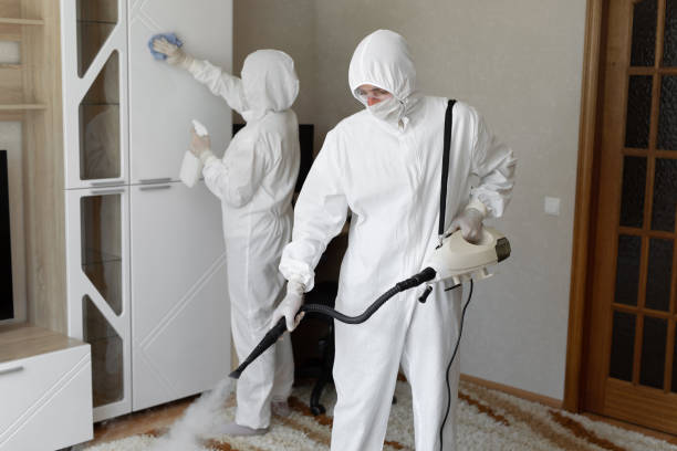Best Commercial Mold Removal  in Chatham, VA